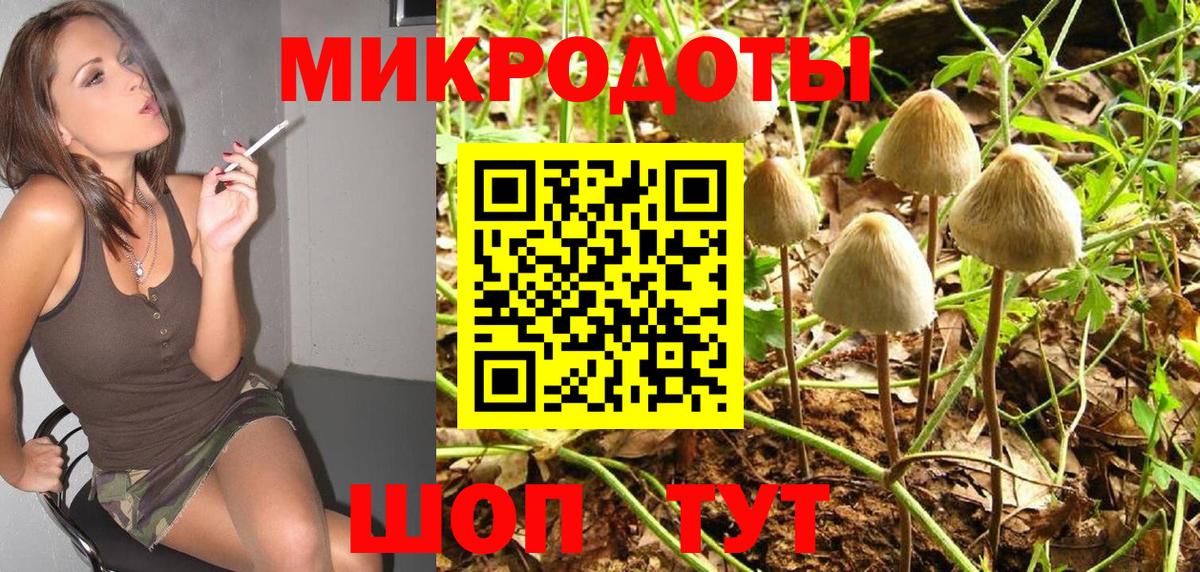 Галлюциногенные грибы Cubensis  Вход с VPN  Ставрополь 