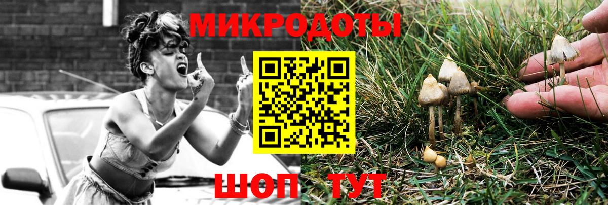 Галлюциногенные грибы прущие грибы Ставрополь