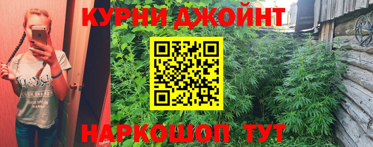 Марихуана индика  Бошки марихуана сатива  Вход с VPN  Конопля OG Kush  Бошки марихуана VHQ  Ставрополь 